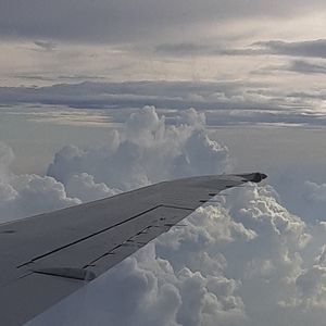 Meet your Posher, Hailey